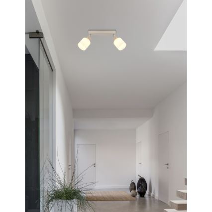 Globo - Stropna spot svjetiljka 2xE14/25W/230V