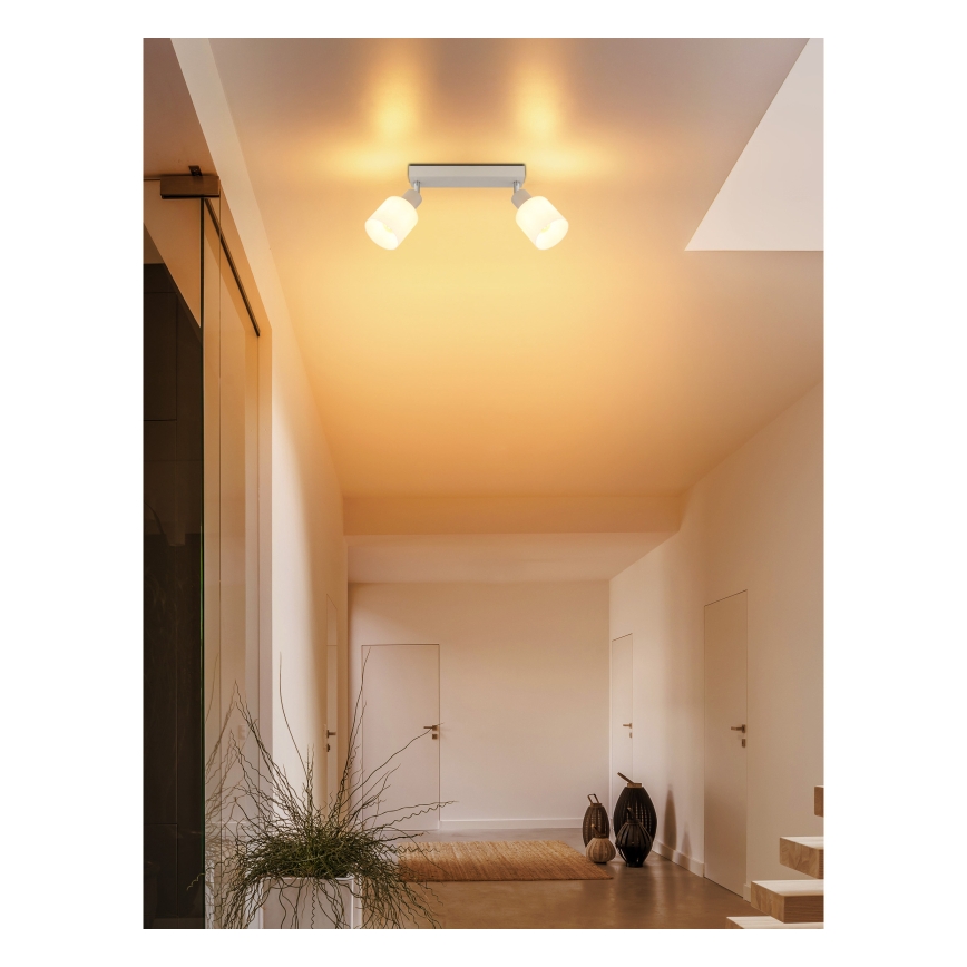 Globo - Stropna spot svjetiljka 2xE14/25W/230V