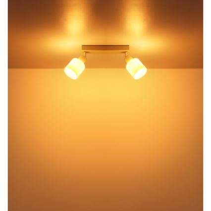 Globo - Stropna spot svjetiljka 2xE14/25W/230V