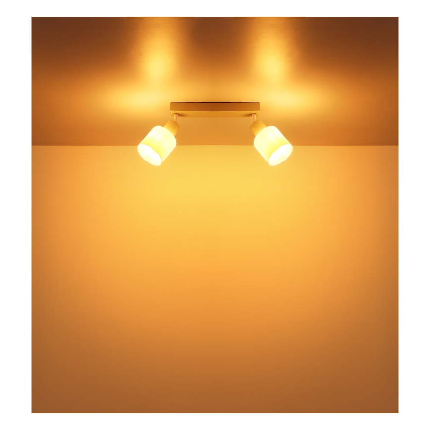 Globo - Stropna spot svjetiljka 2xE14/25W/230V