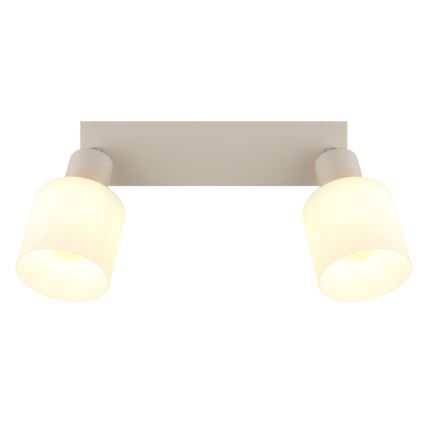 Globo - Stropna spot svjetiljka 2xE14/25W/230V