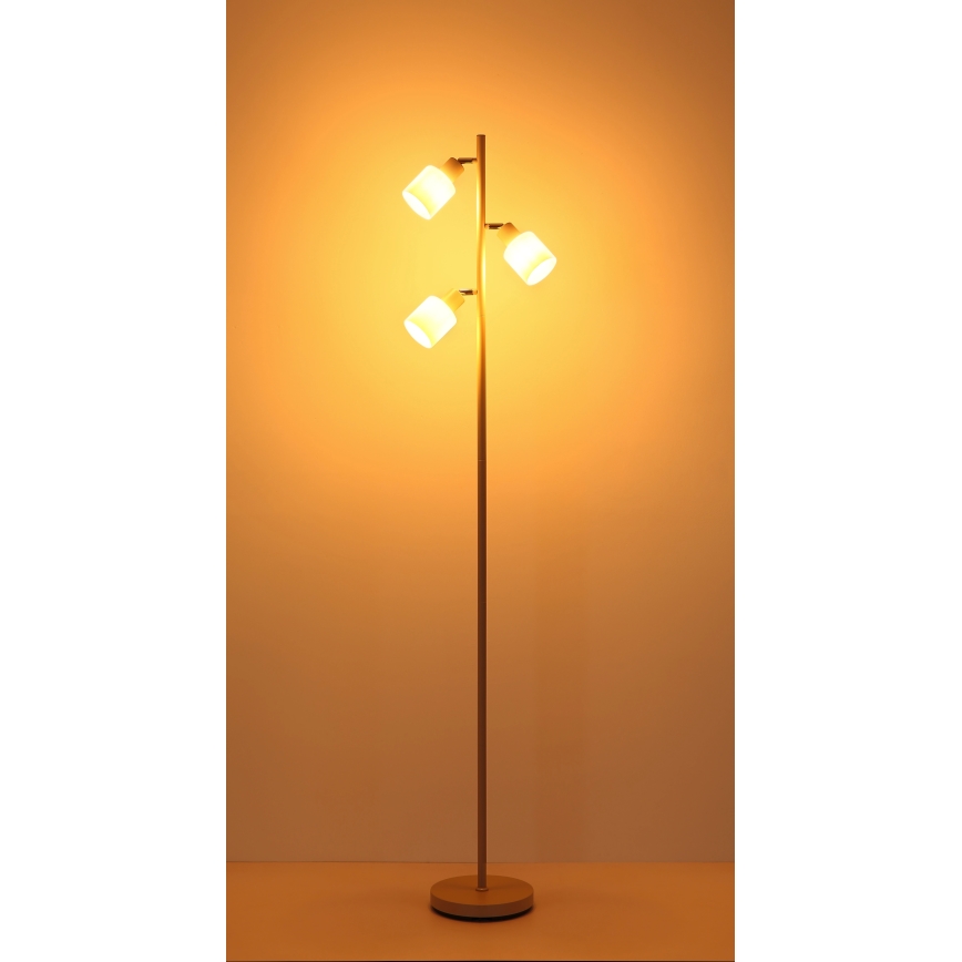 Globo - Stojeća lampa 3xE14/25W/230V