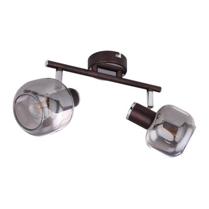 Globo 54303-2 - Stropna svjetiljka PALLO 2xE14/40W/230V