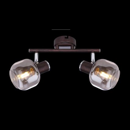 Globo 54303-2 - Stropna svjetiljka PALLO 2xE14/40W/230V