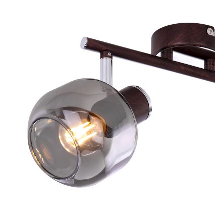 Globo 54303-2 - Stropna svjetiljka PALLO 2xE14/40W/230V