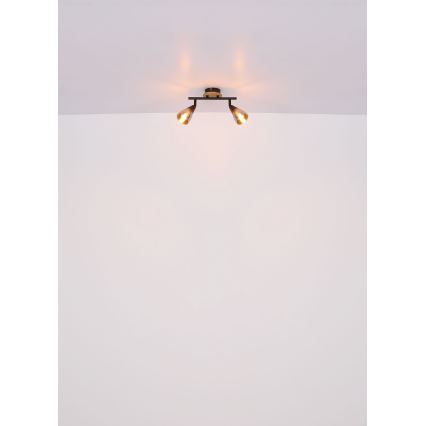 Globo - Reflektorska svjetiljka 2xE14/25W/230V