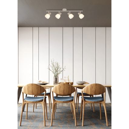 Globo - Spot svjetiljka 4xE14/40W/230V