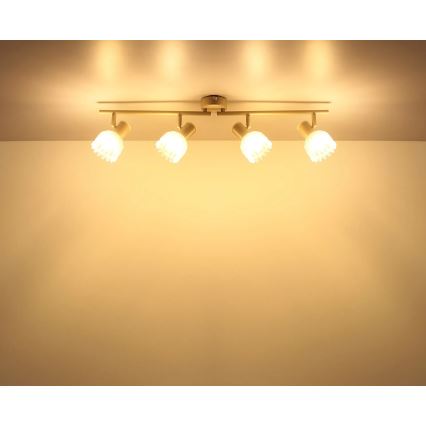 Globo - Spot svjetiljka 4xE14/40W/230V