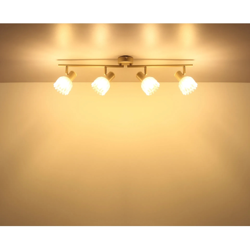 Globo - Spot svjetiljka 4xE14/40W/230V