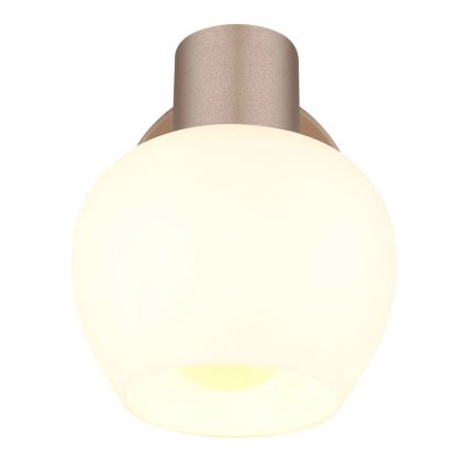 Globo - Zidna reflektorska svjetiljka 1xE27/40W/230V