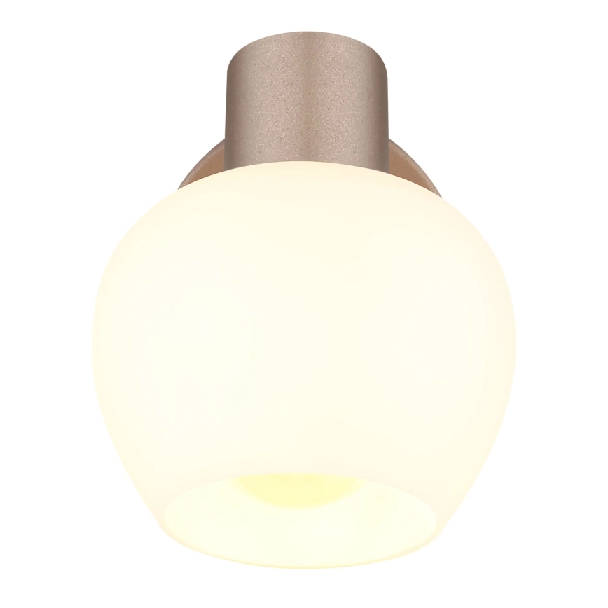 Globo - Zidna reflektorska svjetiljka 1xE27/40W/230V