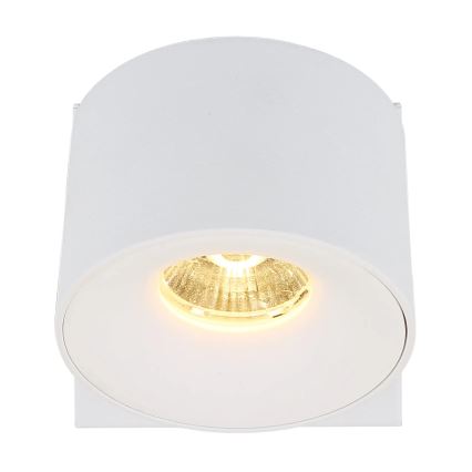 Globo - LED Zidna reflektorska svjetiljka LED/6W/230V bijela