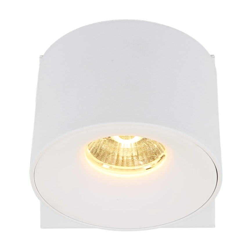 Globo - LED Zidna reflektorska svjetiljka LED/6W/230V bijela