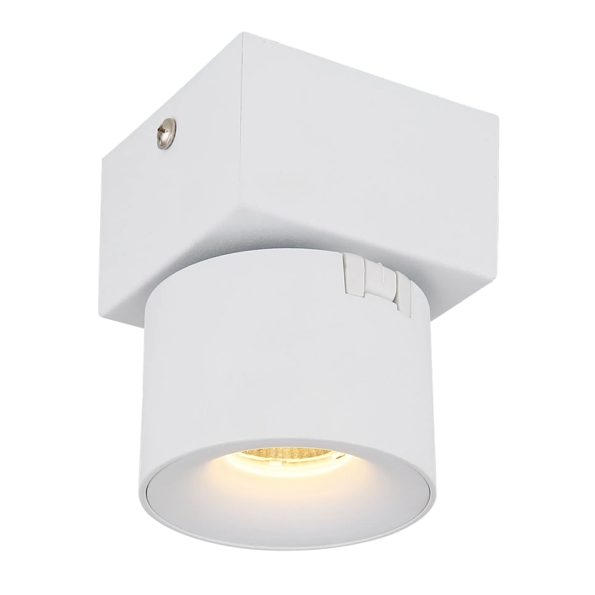 Globo - LED Zidna reflektorska svjetiljka LED/6W/230V bijela