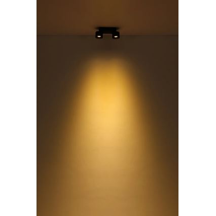 Globo - LED Reflektorska svjetiljka 2xLED/6W/230V crna