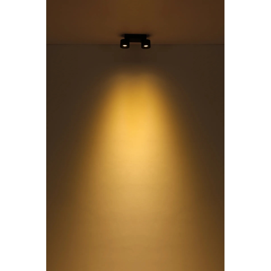 Globo - LED Reflektorska svjetiljka 2xLED/6W/230V crna
