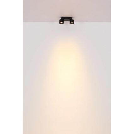 Globo - LED Reflektorska svjetiljka 2xLED/6W/230V crna