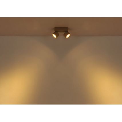 Globo - LED spot svjetiljka 2xLED/6W/230V