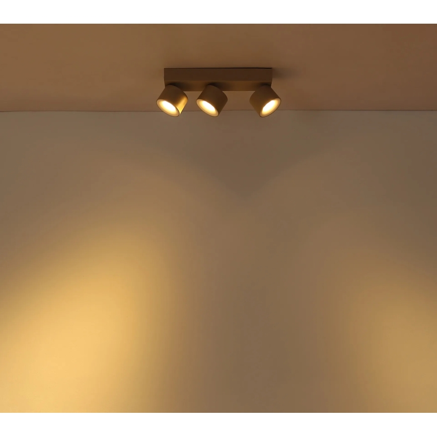 Globo - LED spot svjetiljka 3xLED/6W/230V