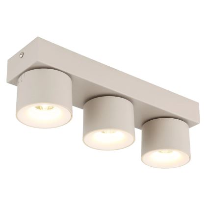 Globo - LED spot svjetiljka 3xLED/6W/230V