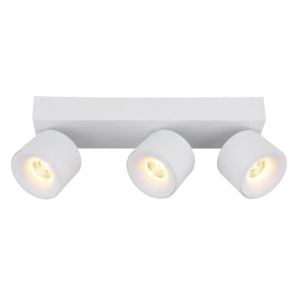 Globo - LED Reflektorska svjetiljka 3xLED/6W/230V bijela