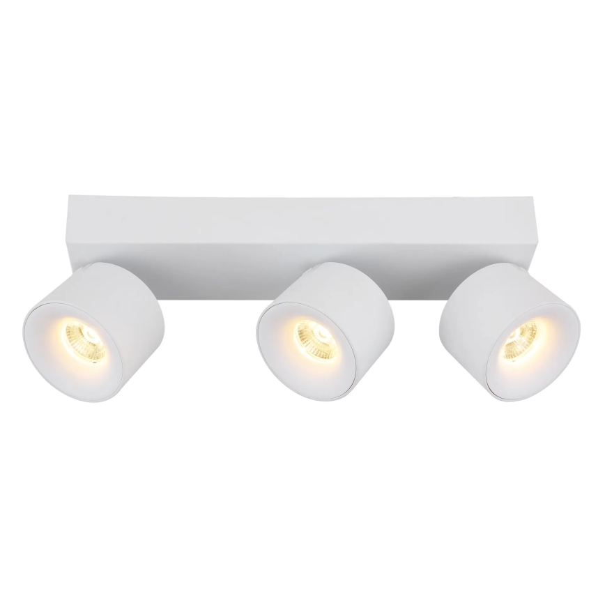 Globo - LED Reflektorska svjetiljka 3xLED/6W/230V bijela
