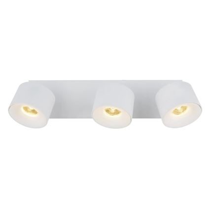 Globo - LED Reflektorska svjetiljka 3xLED/6W/230V bijela