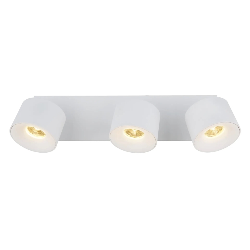 Globo - LED Reflektorska svjetiljka 3xLED/6W/230V bijela