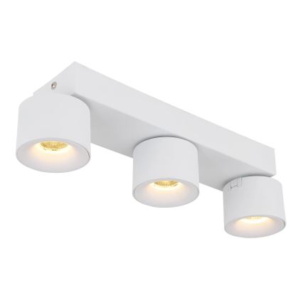 Globo - LED Reflektorska svjetiljka 3xLED/6W/230V bijela
