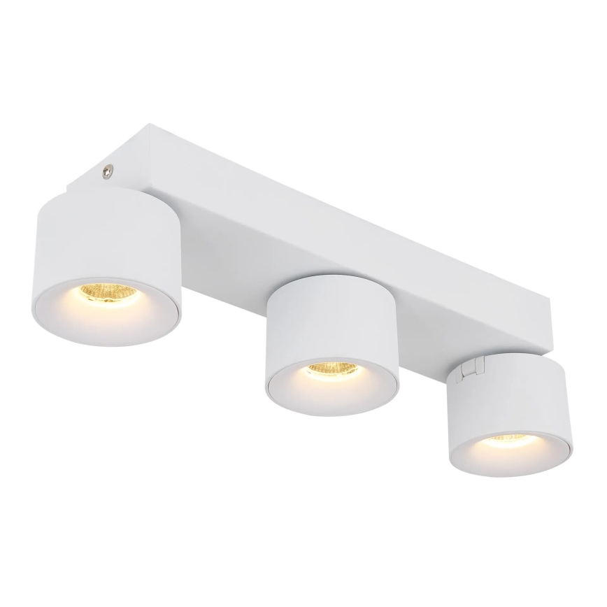 Globo - LED Reflektorska svjetiljka 3xLED/6W/230V bijela