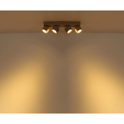 Globo - LED stropna reflektorska svjetiljka 4xLED/6W/230V