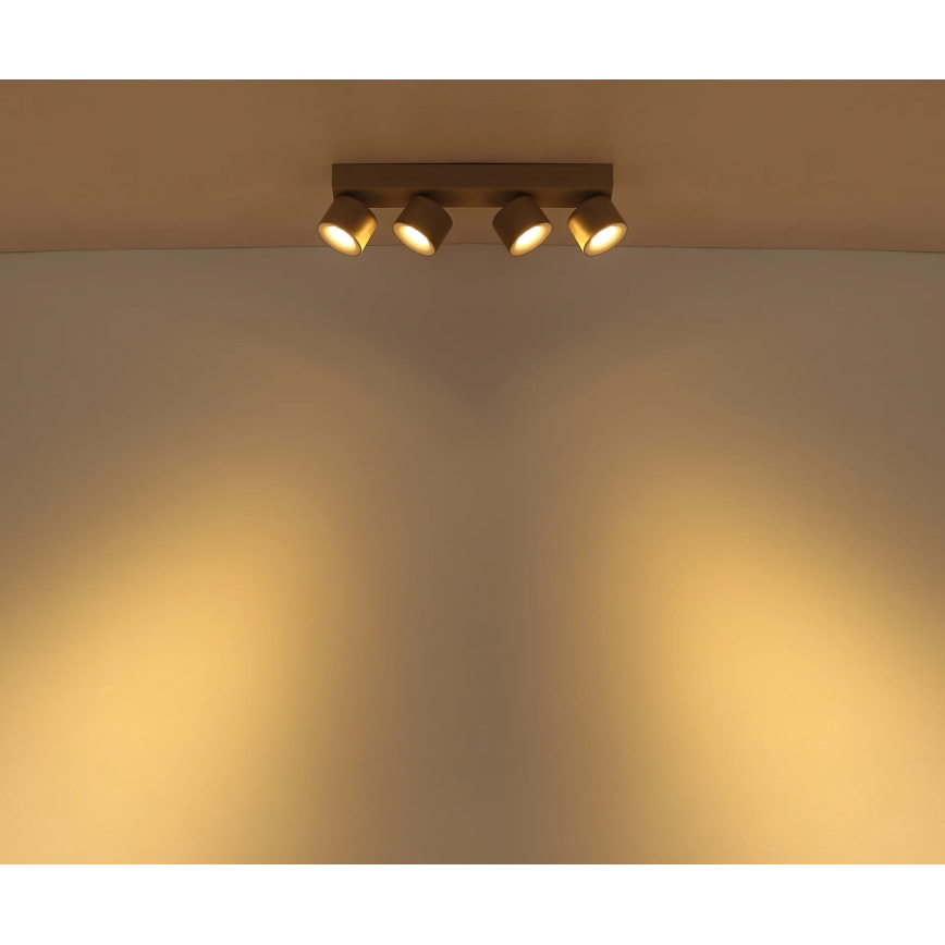 Globo - LED stropna reflektorska svjetiljka 4xLED/6W/230V