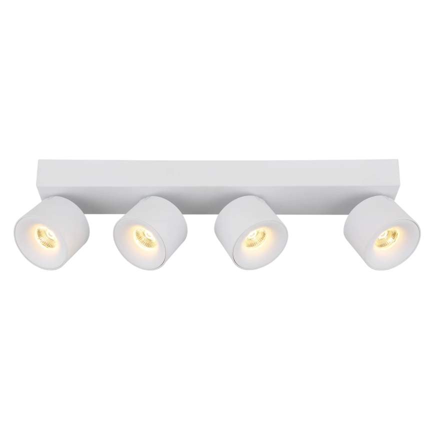 Globo - LED Reflektorska svjetiljka 4xLED/6W/230V bijela