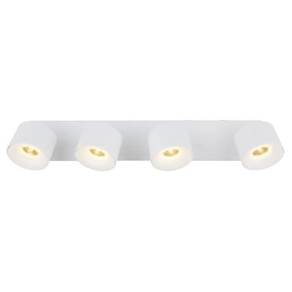 Globo - LED Reflektorska svjetiljka 4xLED/6W/230V bijela