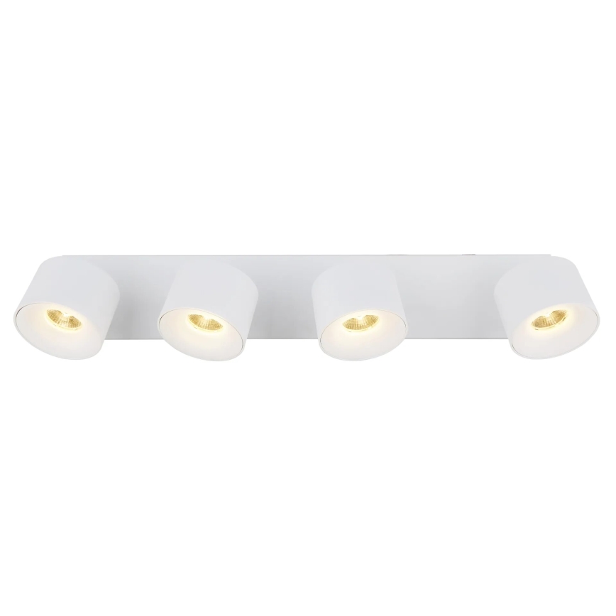 Globo - LED Reflektorska svjetiljka 4xLED/6W/230V bijela