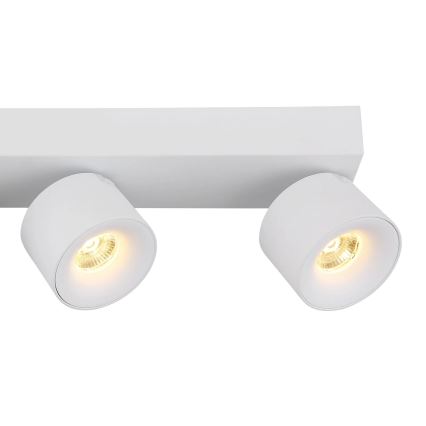 Globo - LED Reflektorska svjetiljka 4xLED/6W/230V bijela