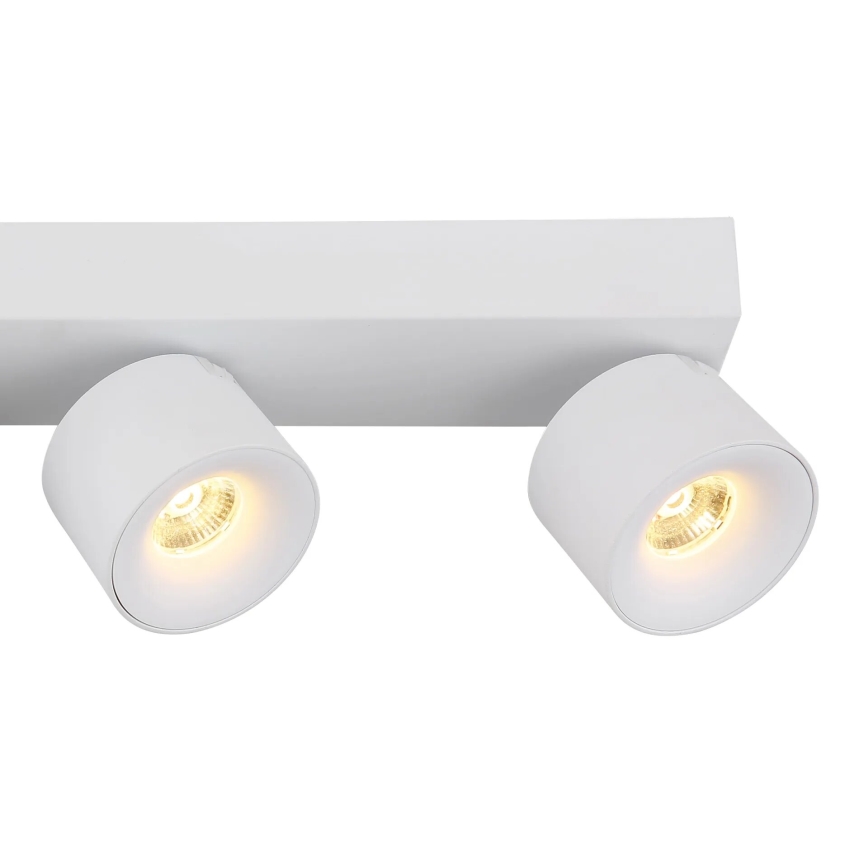 Globo - LED Reflektorska svjetiljka 4xLED/6W/230V bijela
