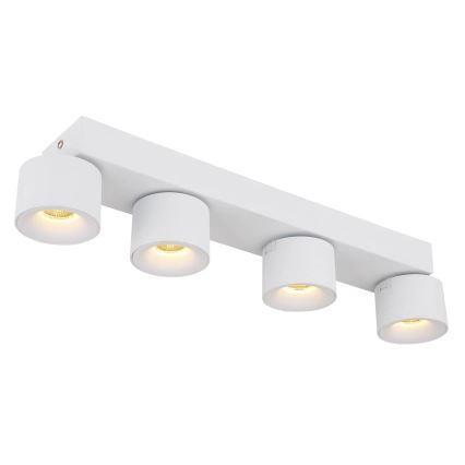Globo - LED Reflektorska svjetiljka 4xLED/6W/230V bijela