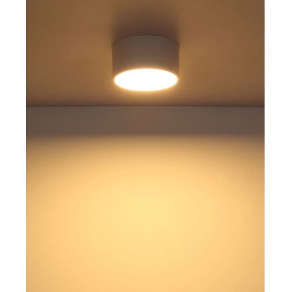 Globo - LED stropna svjetiljka LED/12W/230V 3000K pr. 15 cm bijela