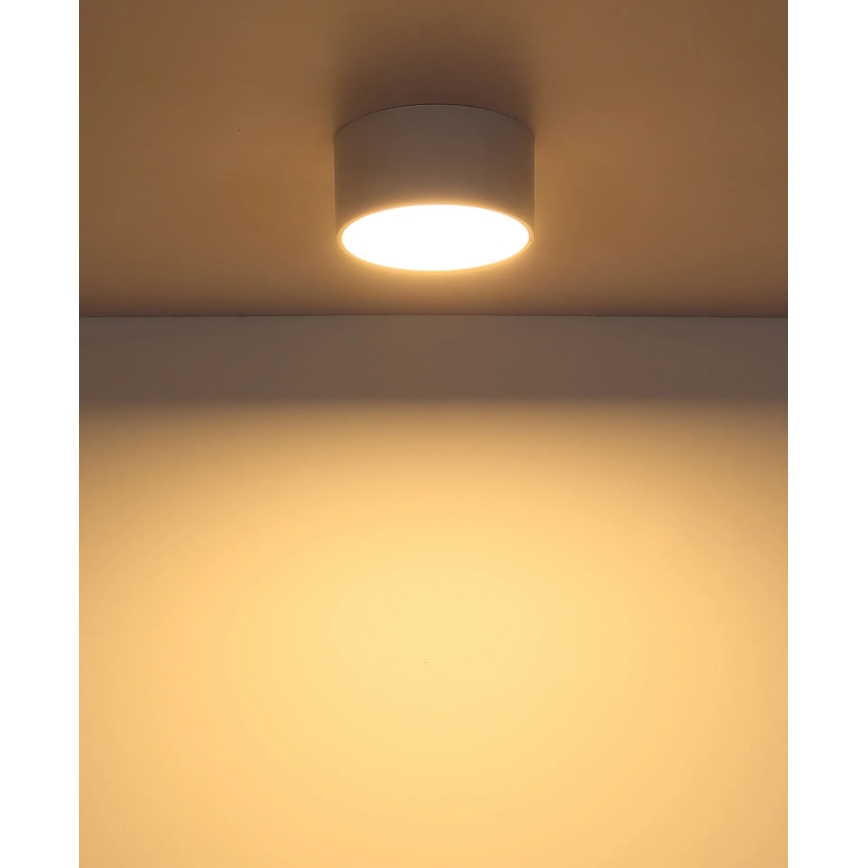 Globo - LED stropna svjetiljka LED/12W/230V 3000K pr. 15 cm bijela