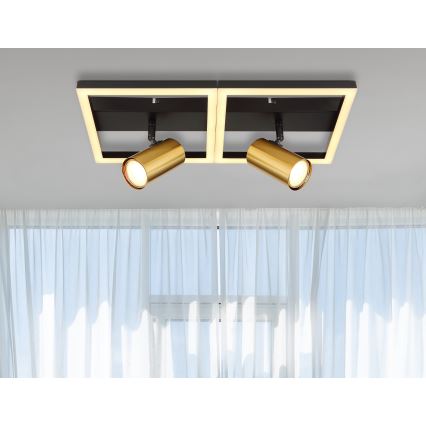 Globo - LED Stropna svjetiljka 2xGU10/5W/230V + LED/22W/230V