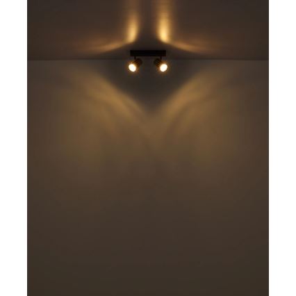 Globo - Reflektorska svjetiljka 2xGU10/25W/230V bijela/mat krom