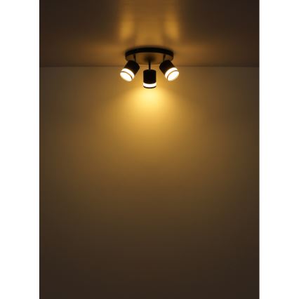 Globo - LED Reflektorska svjetiljka 3xGX53/7W/230V 3000K