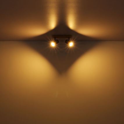 Globo - Reflektorska svjetiljka 2xGU10/35W/230V siva/smeđa