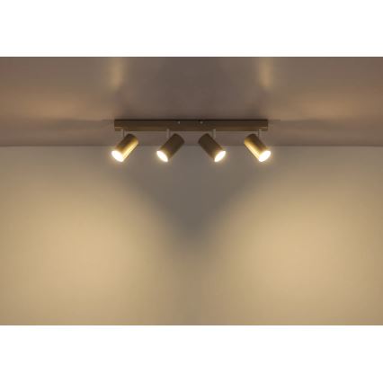 Globo - Stropna reflektorska svjetiljka 4xGU10/35W/230V bež