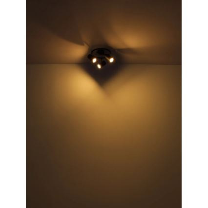 Globo - Reflektorska svjetiljka 3xGU10/25W/230V crna
