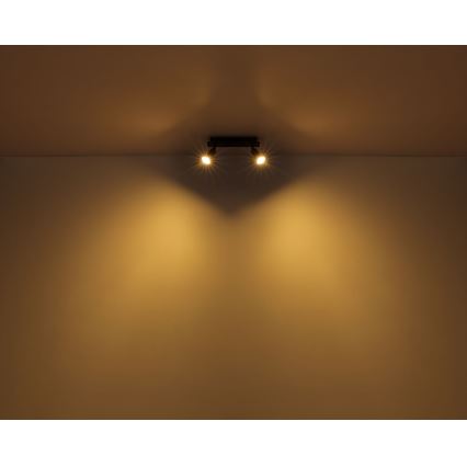 Globo - Reflektorska svjetiljka 2xGU10/35W/230V crna