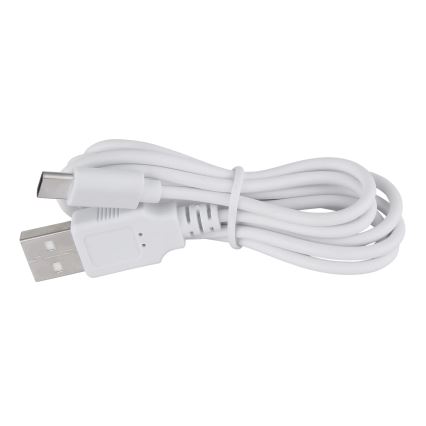 Globo - LED Prigušiva stolna lampa na dodir LED/1W/3,7V 3000K 1800 mAh USB ružičasta