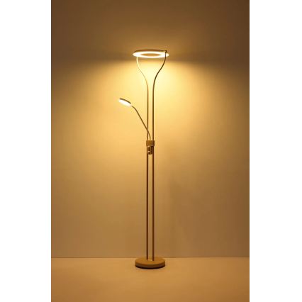 Globo - LED podna lampa s mogućnošću prigušivanja LED/20W/230V + LED/4W 3000K