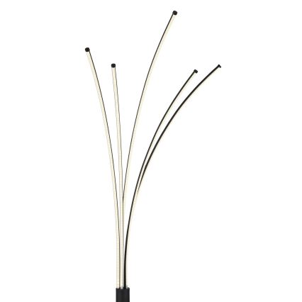 Globo - LED podna lampa s prigušivanjem LED/36W/230V 3000-6000K Wi-Fi Tuya + daljinski upravljač